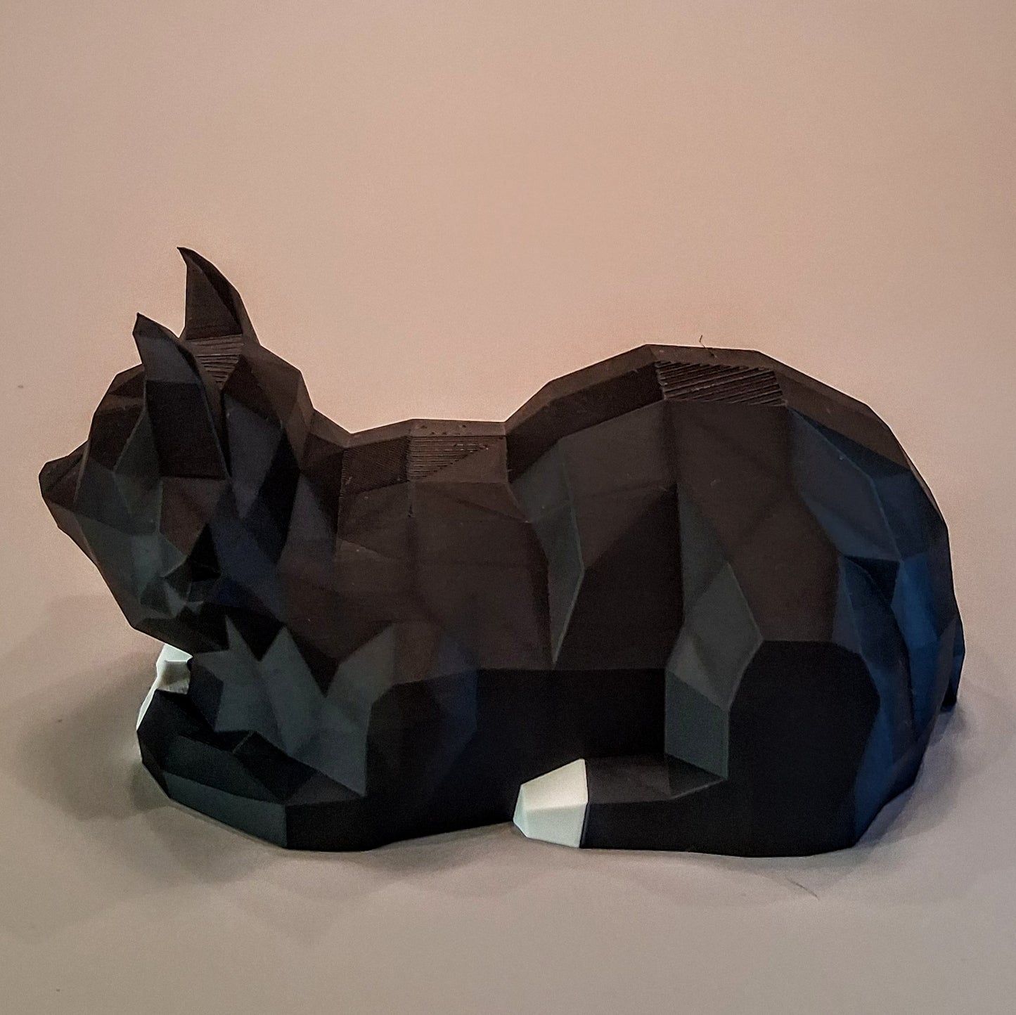 Low Poly Cat Loafing
